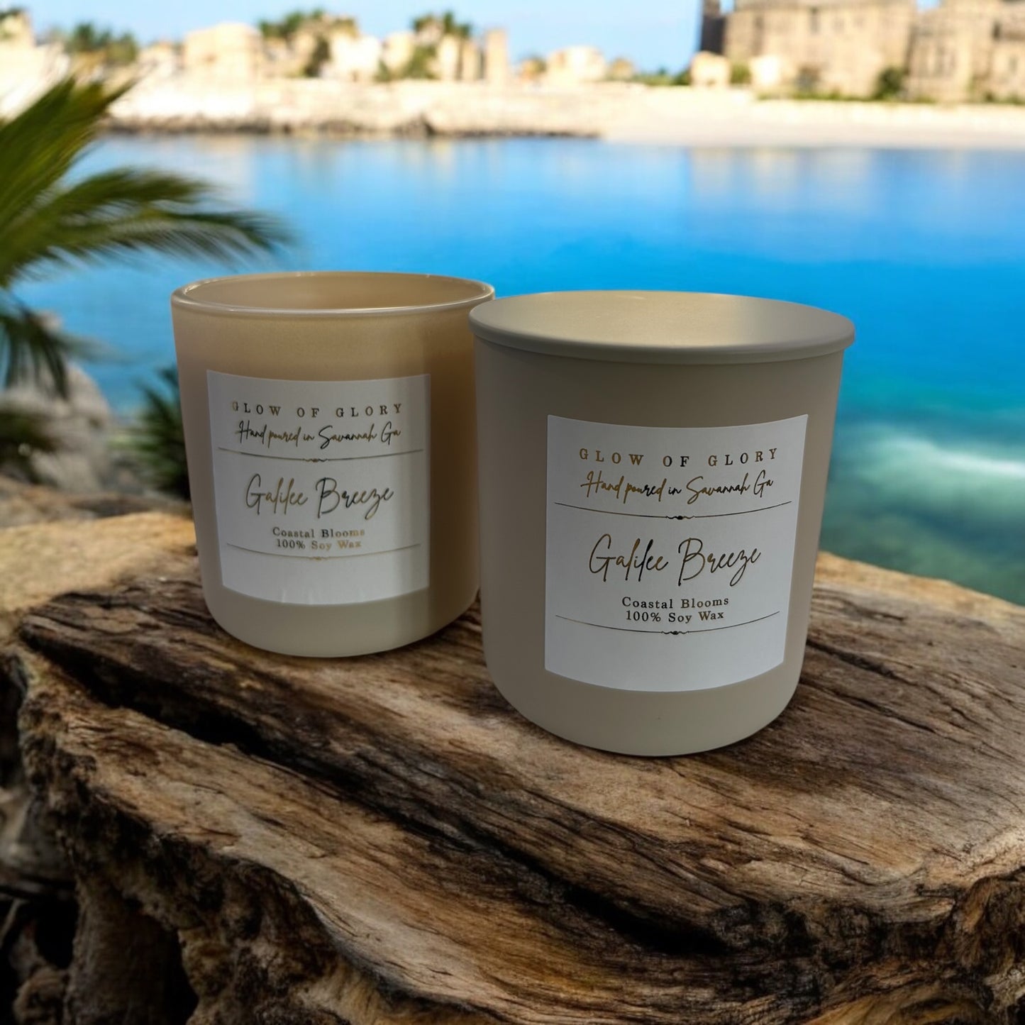 Galilee Breeze | Coastal Blooms