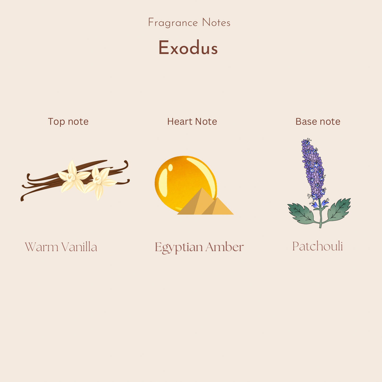 Exodus | Amber Sands