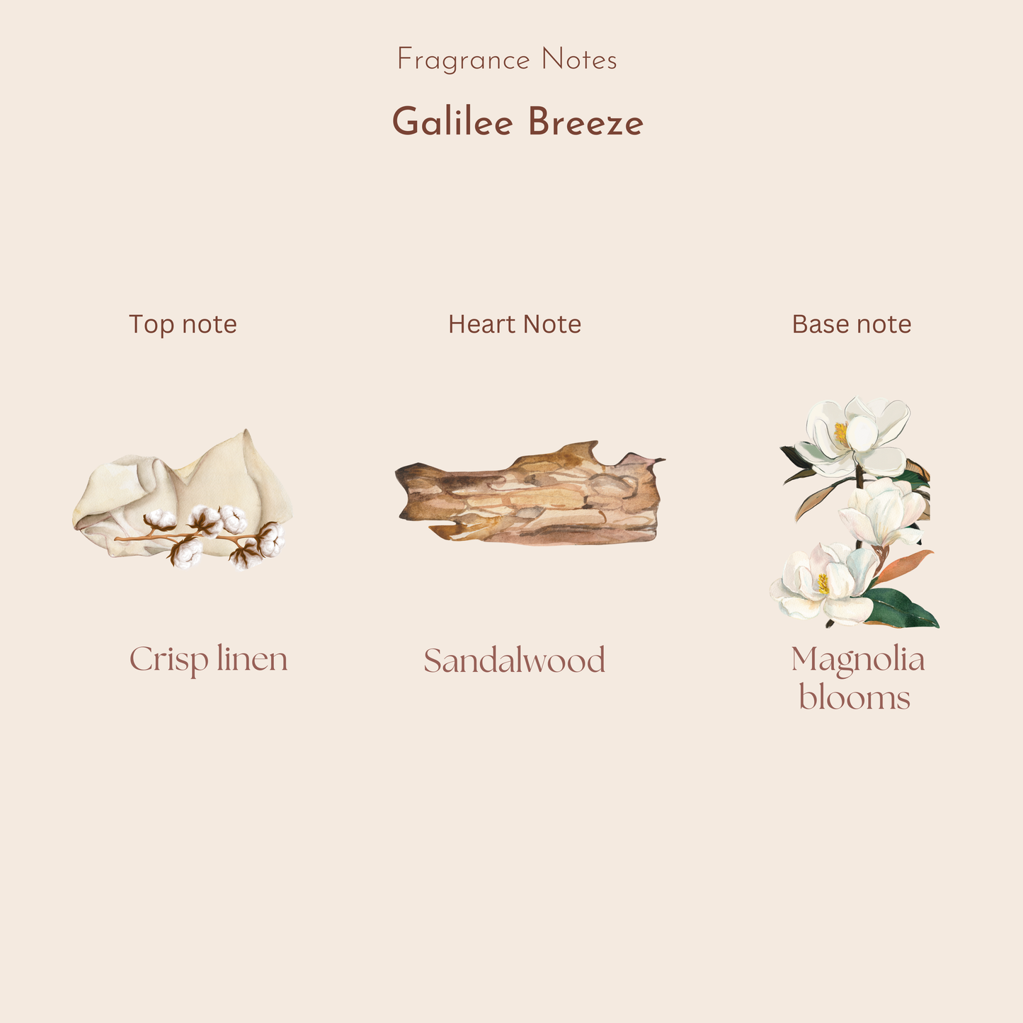Galilee Breeze | Coastal Blooms