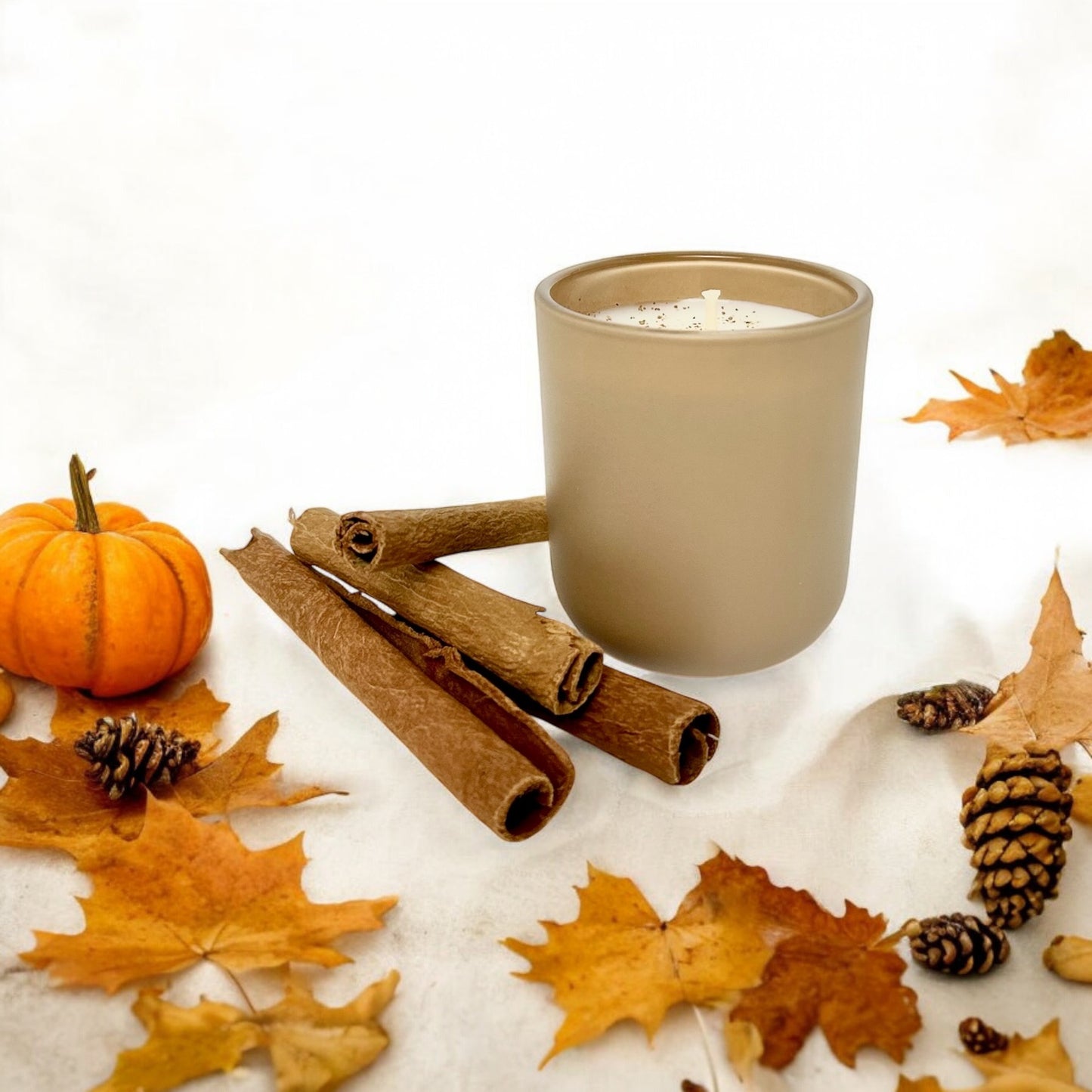 Joy Fall | Toasted Pumpkin