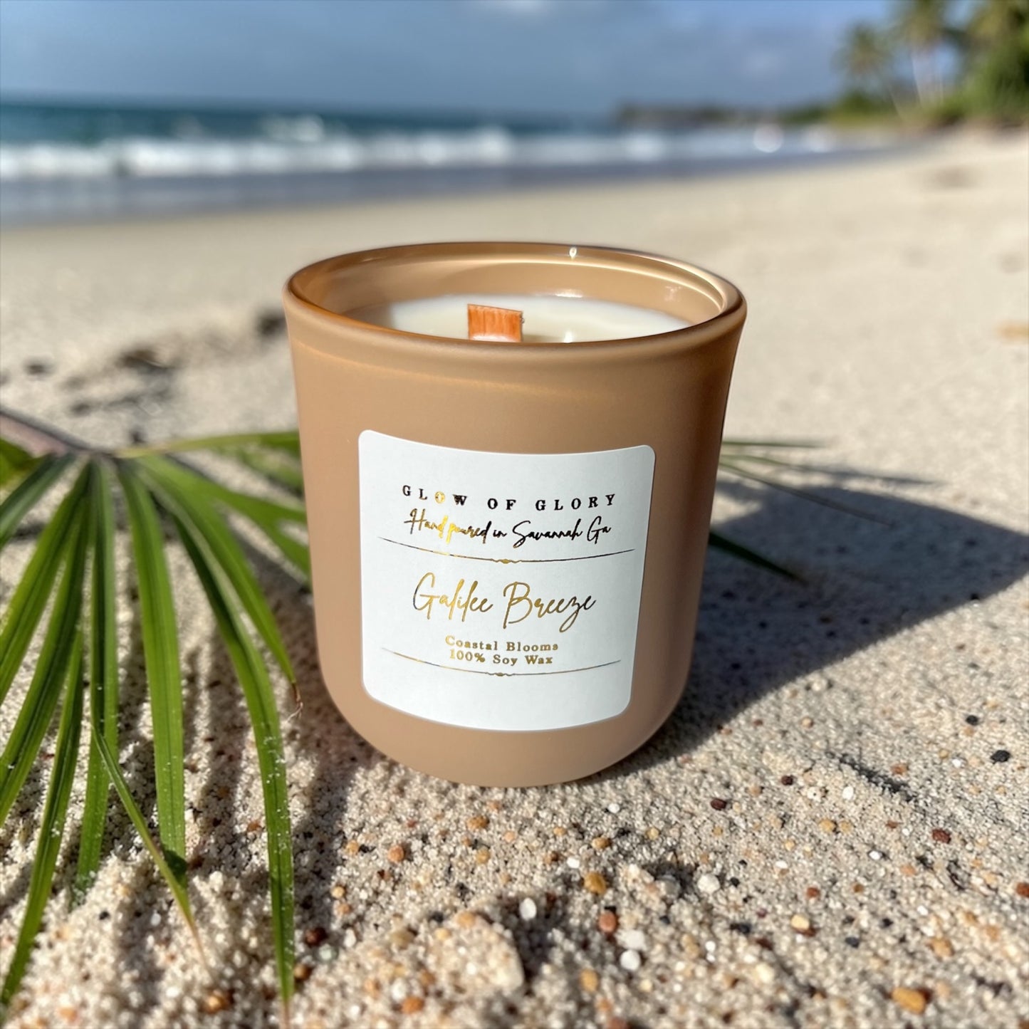 Galilee Breeze | Coastal Blooms