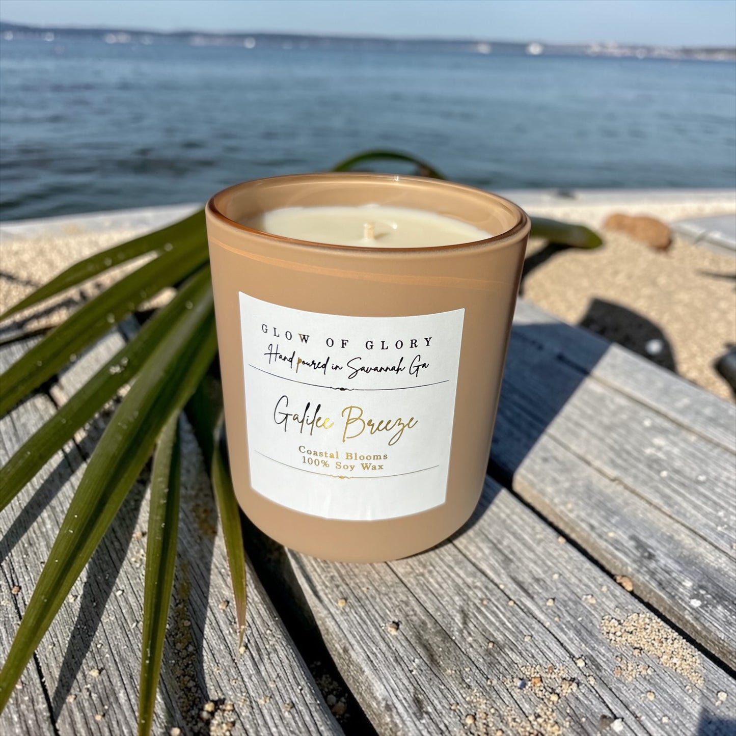 Galilee Breeze | Coastal Blooms